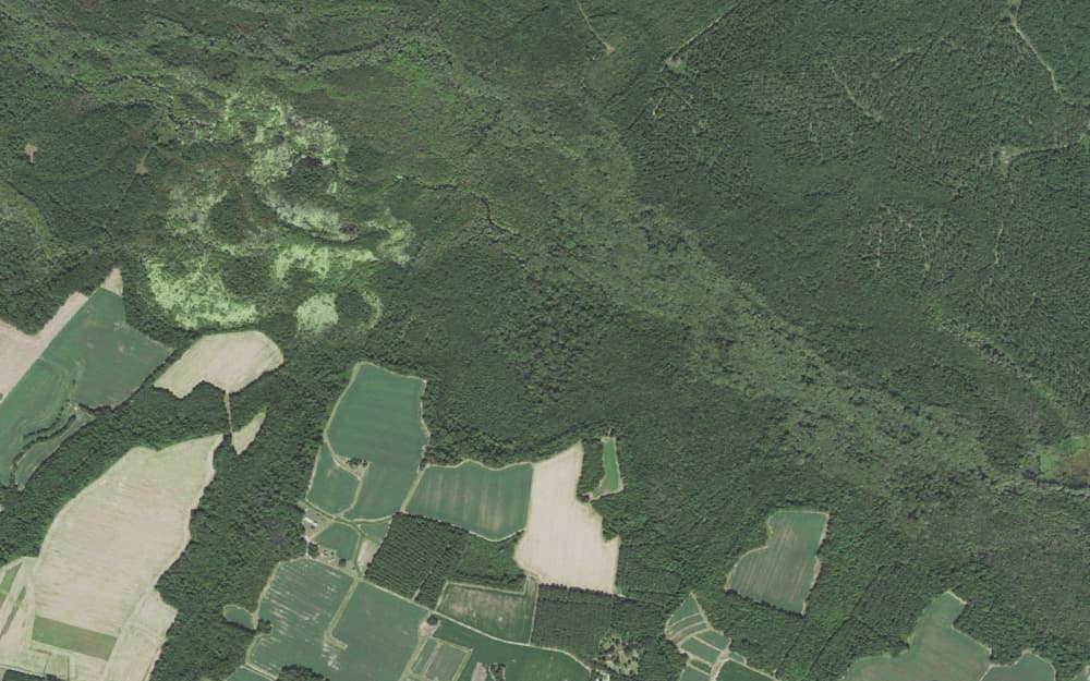 Sweetleaf Clean Solar Energy Center: 125M USD, 93 MW Solar Farm in Halifax County, North Carolina