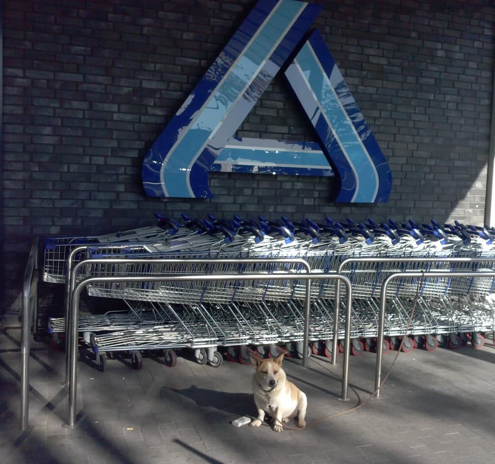 Aldi Raises Pay for Store and Warehouse Staff Across Poland