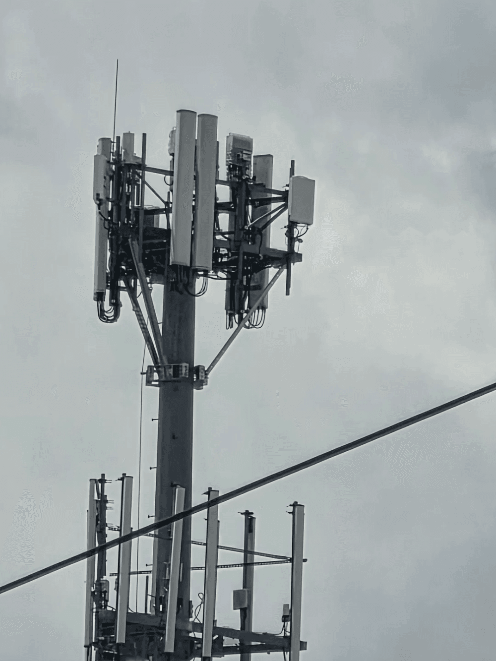 Verizon Wireless Outage Leaves Phones in SOS Mode
