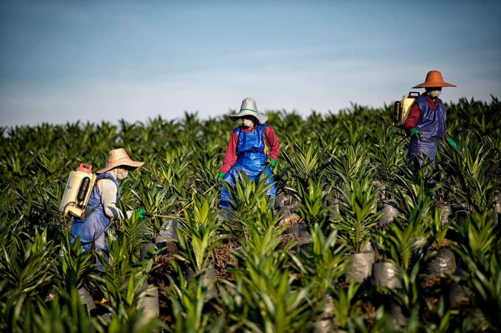 Wilmar 1H2026 Core Net Profit Rises 10% to US$641.5 Million