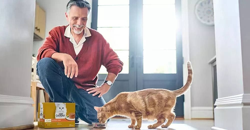 Purina's Wet Pet Food Plant in Mantua Starts Production