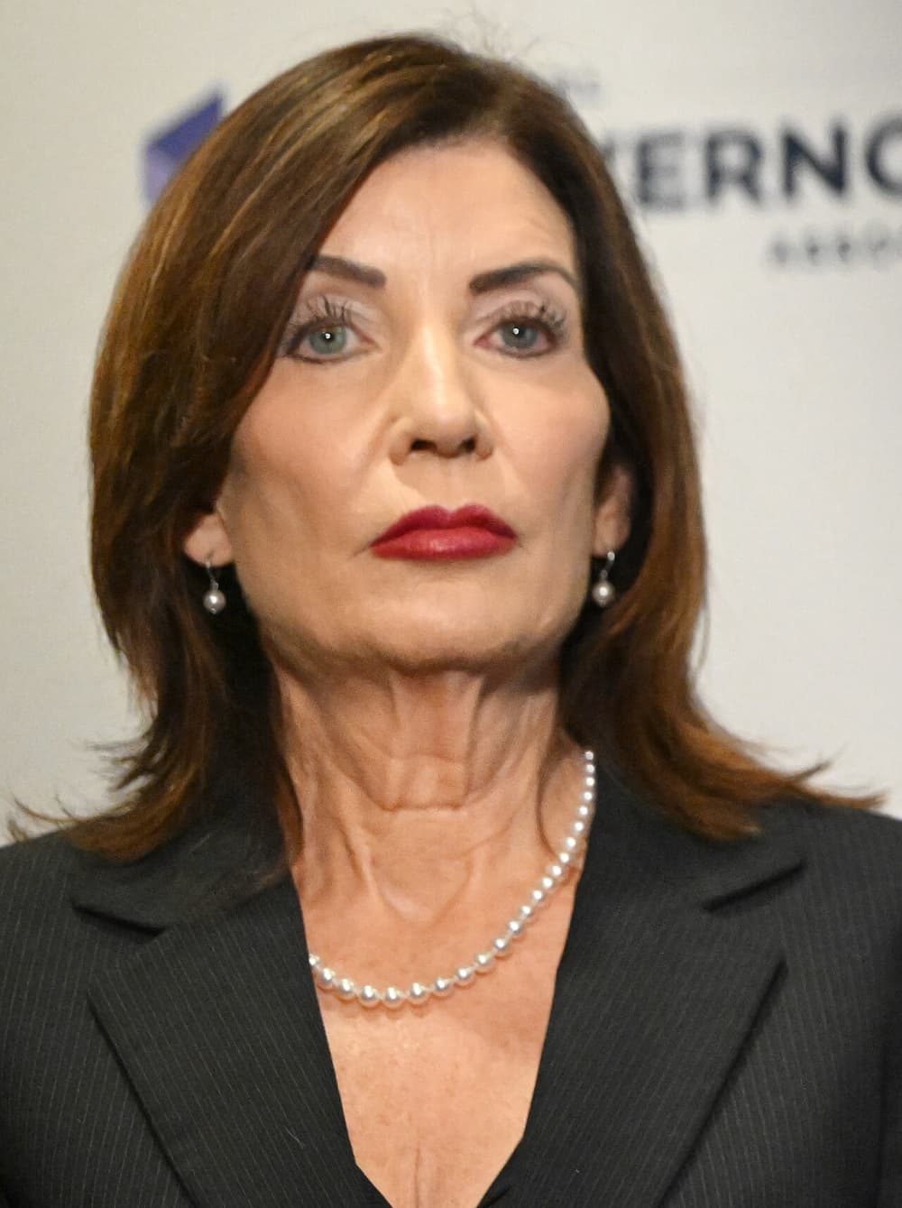 New York Elects Its Governor: Hochul vs. Blakeman