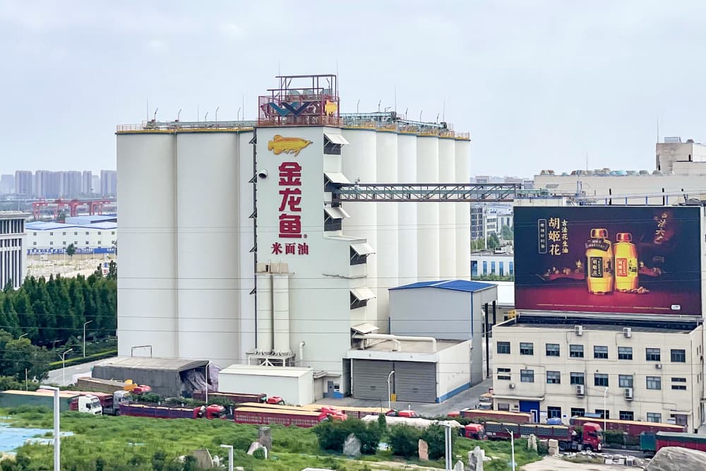 Wilmar Reports FY2026 Full-Year Results