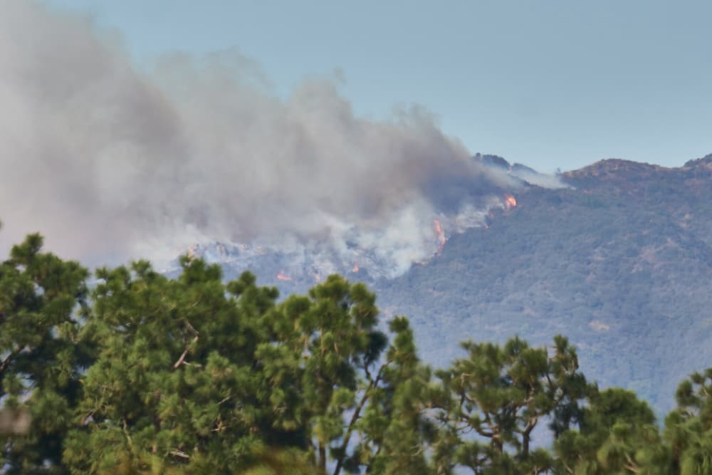 The Palisades Fire Ignites Above Pacific Palisades