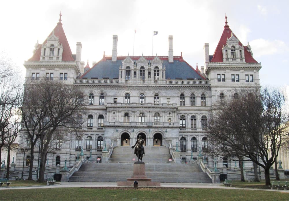 New York Elects Its Governor: Hochul vs. Blakeman