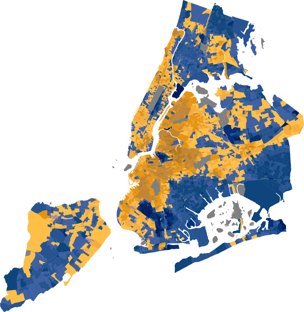 Zohran Mamdani Wins New York City's Democratic Mayoral Primary