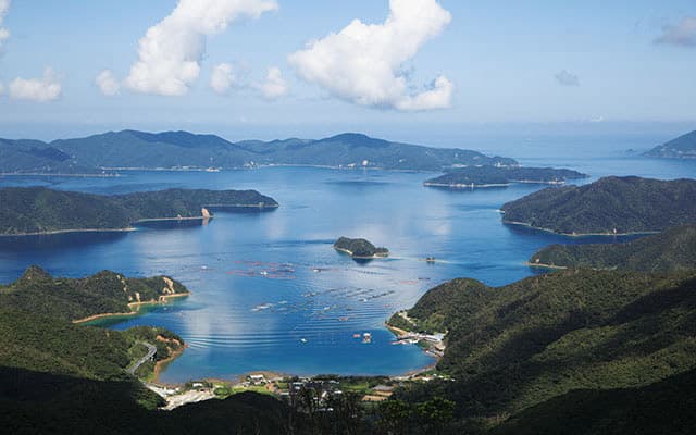 Umios publie ses résultats d'avril-septembre 2026